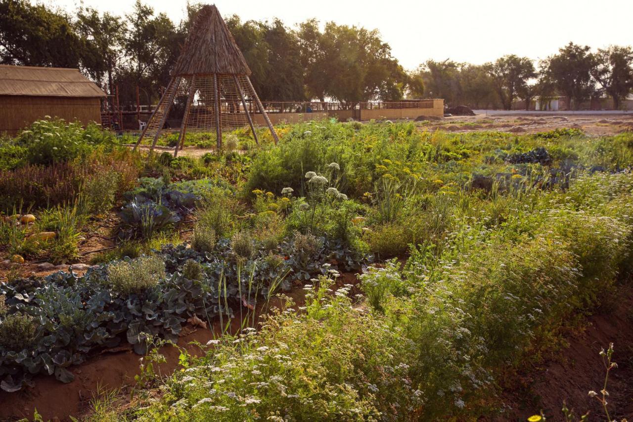 Heenat Salma Farm Ash-Shahaniyah Exterior foto